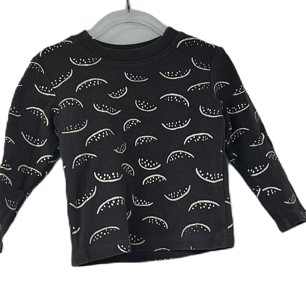 Blue cici toddler watermelon gray sweatshirt size 2T